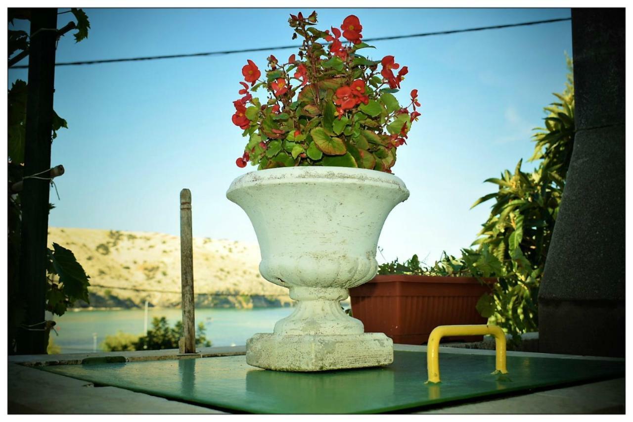 Apartments Boric Lopar Bagian luar foto